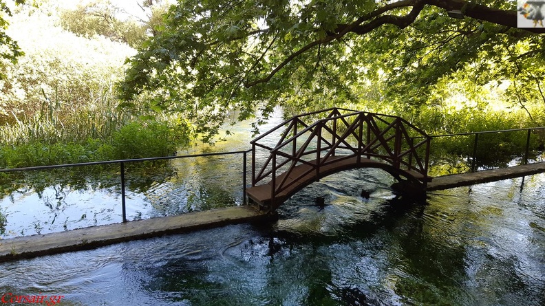 20190516_100625.jpg