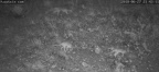 2018 06 27 3 Alepoydia