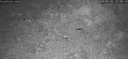 2018 07 01 Alepoydia trvne pezoyn
