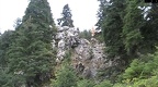 2020-11-20 0953 AeliaMov002