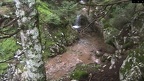 2020-11-20 1016AeliaMov004