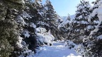 17 Γενάρη 2021 - Βόλτα στο φρέσκο χιόνι!!!
