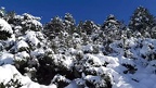 17 Γενάρη 2021 - Βόλτα στο φρέσκο χιόνι!!!
