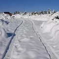 17 Γενάρη 2021 - Βόλτα στο φρέσκο χιόνι!