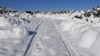 17 Γενάρη 2021 - Βόλτα στο φρέσκο χιόνι!